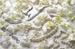 Still Life Photography Jewelry and Gardenias